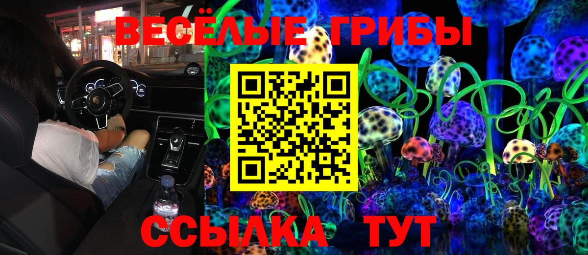 Алапаевск  Галлюциногенные грибы ЛСД  даркнет сайт  Вход с VPN 