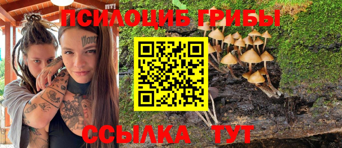 Галлюциногенные грибы мухоморы Алапаевск